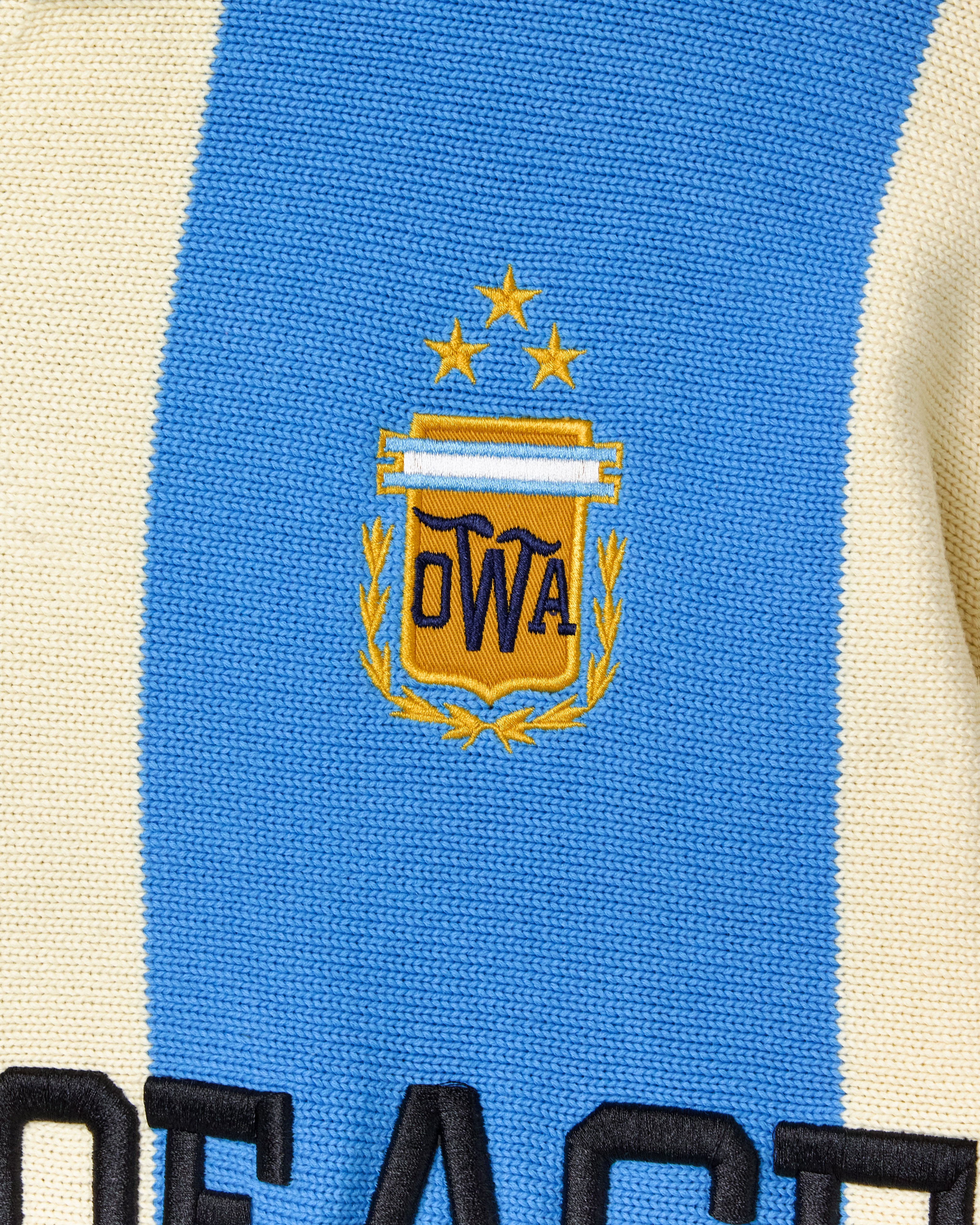 Close-up of a knitted soccer jersey with the Argentina national crest on a blue and beige jersey.