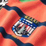 Close Up Of The Wisdom Of Age Knit Clinton Hoodie Multi-Color Front Patch.